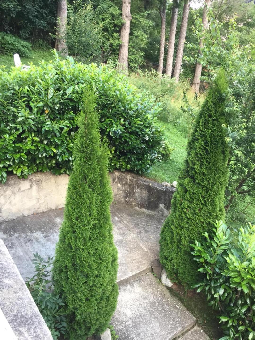Il Piccolo Castello บุชเตนี ภายนอก รูปภาพ